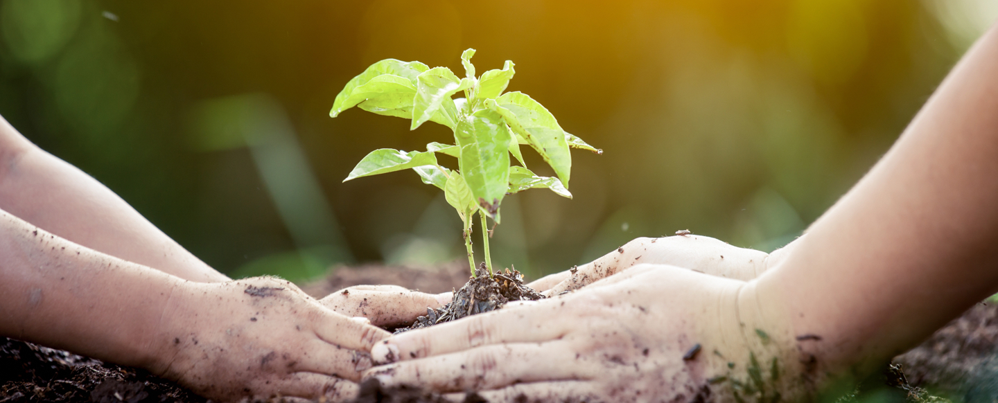 Integrative Therapie Claudia Egger Psychotherapie & Coaching